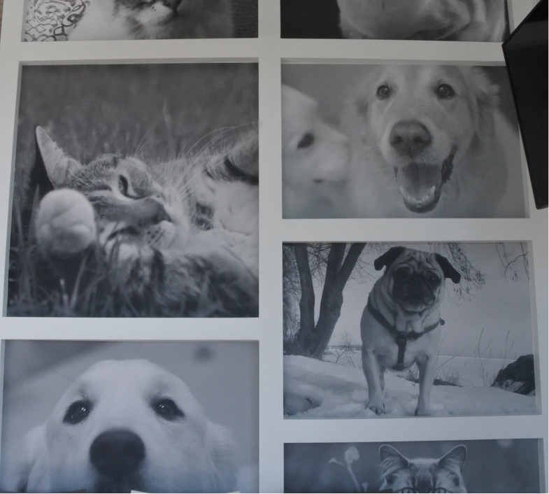 Galerie photos