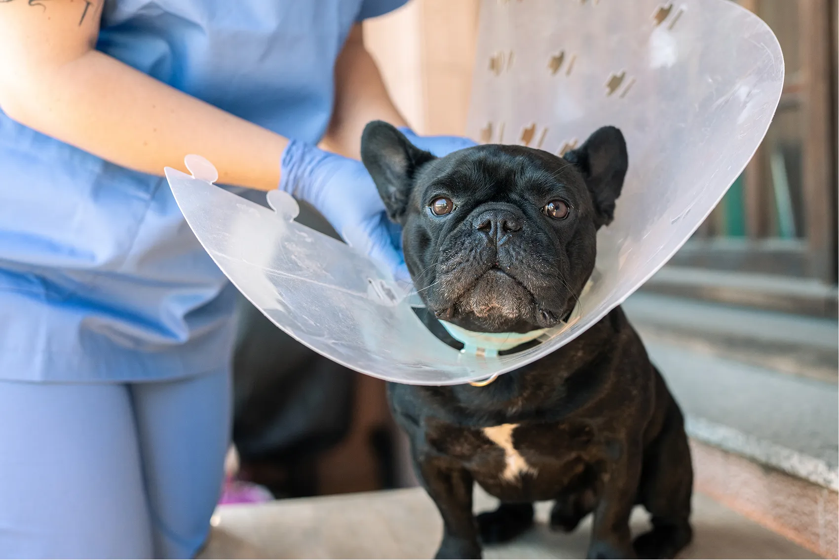 Surgeries OF <b>STERILIZATION</b>