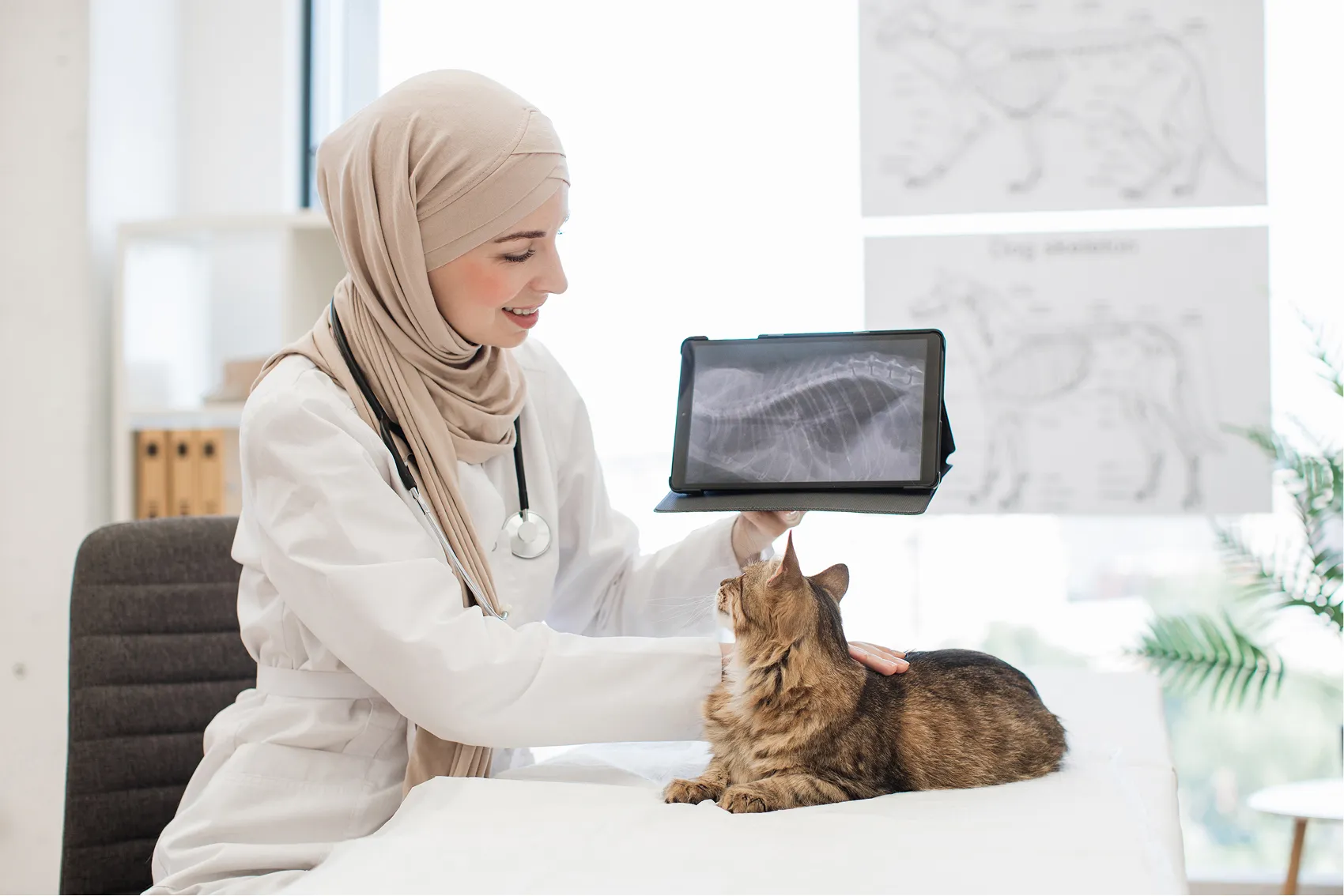 Consultation and <b>diagnostic service</b>