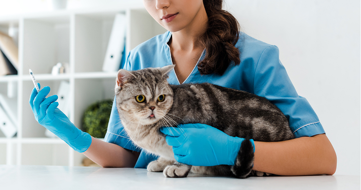 Vaccination et parasites