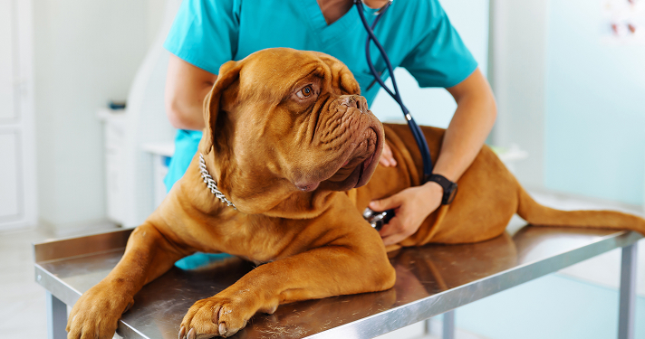Consultation et service diagnostic