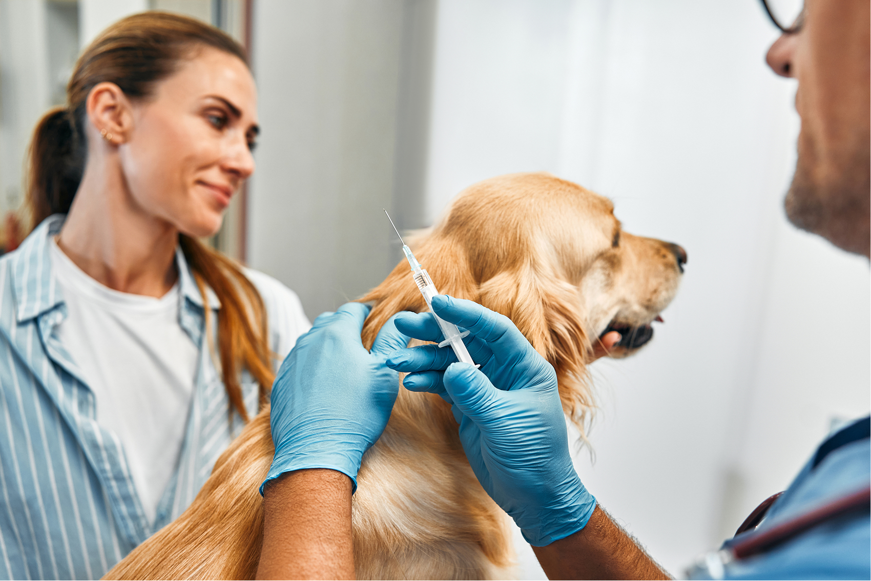 Vaccination et parasites